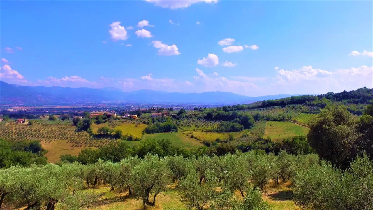 Agriturismo Camiano Piccolo Montefalco Kültér fotó