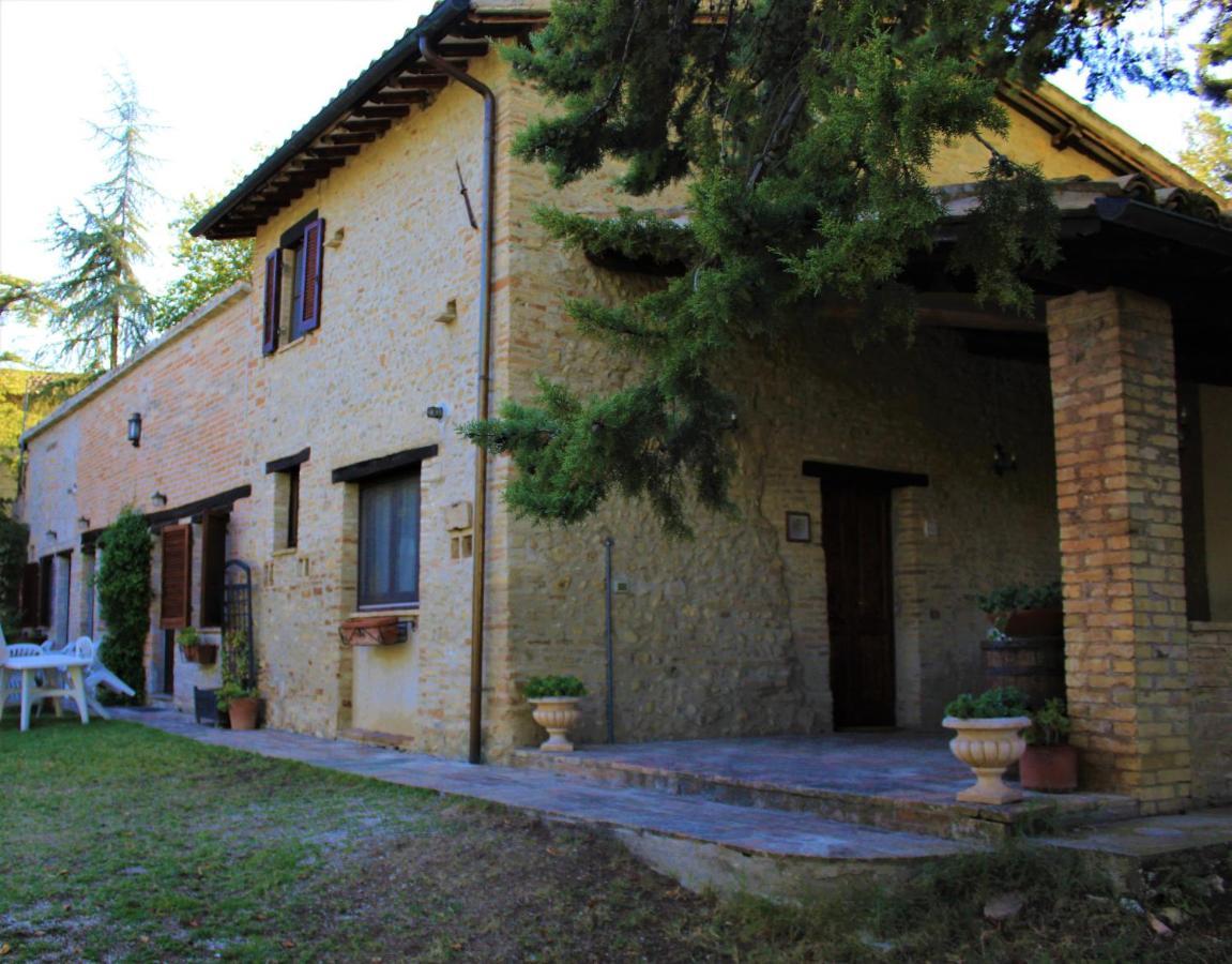 Agriturismo Camiano Piccolo Montefalco Kültér fotó